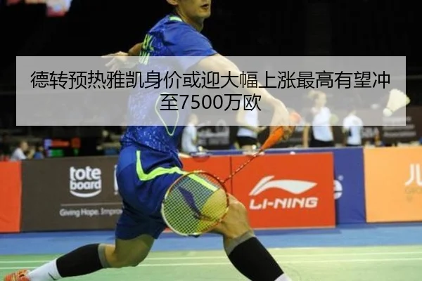 德转预热雅凯身价或迎大幅上涨最高有望冲至7500万欧 - HuoHuSPORTS
